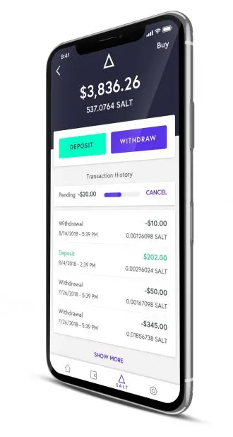SALT Lending on iPhone